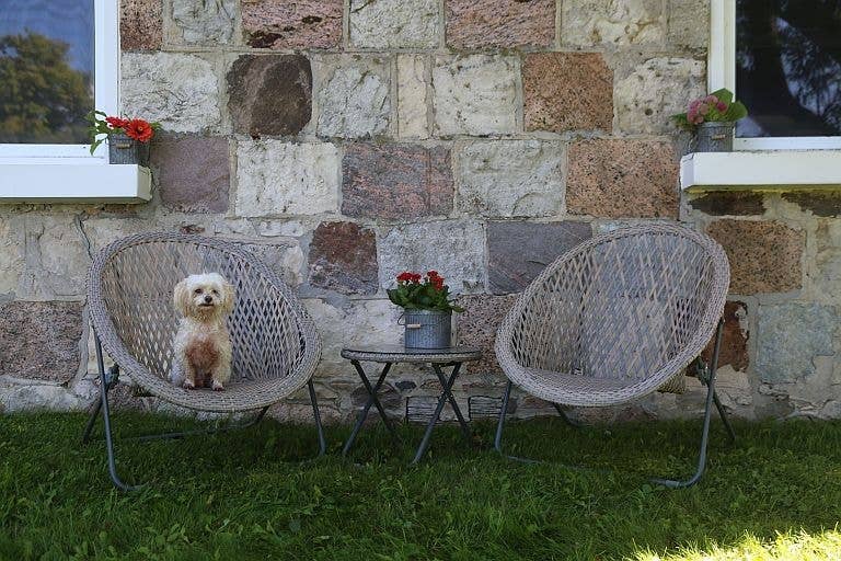 Outdoor Lounge Set