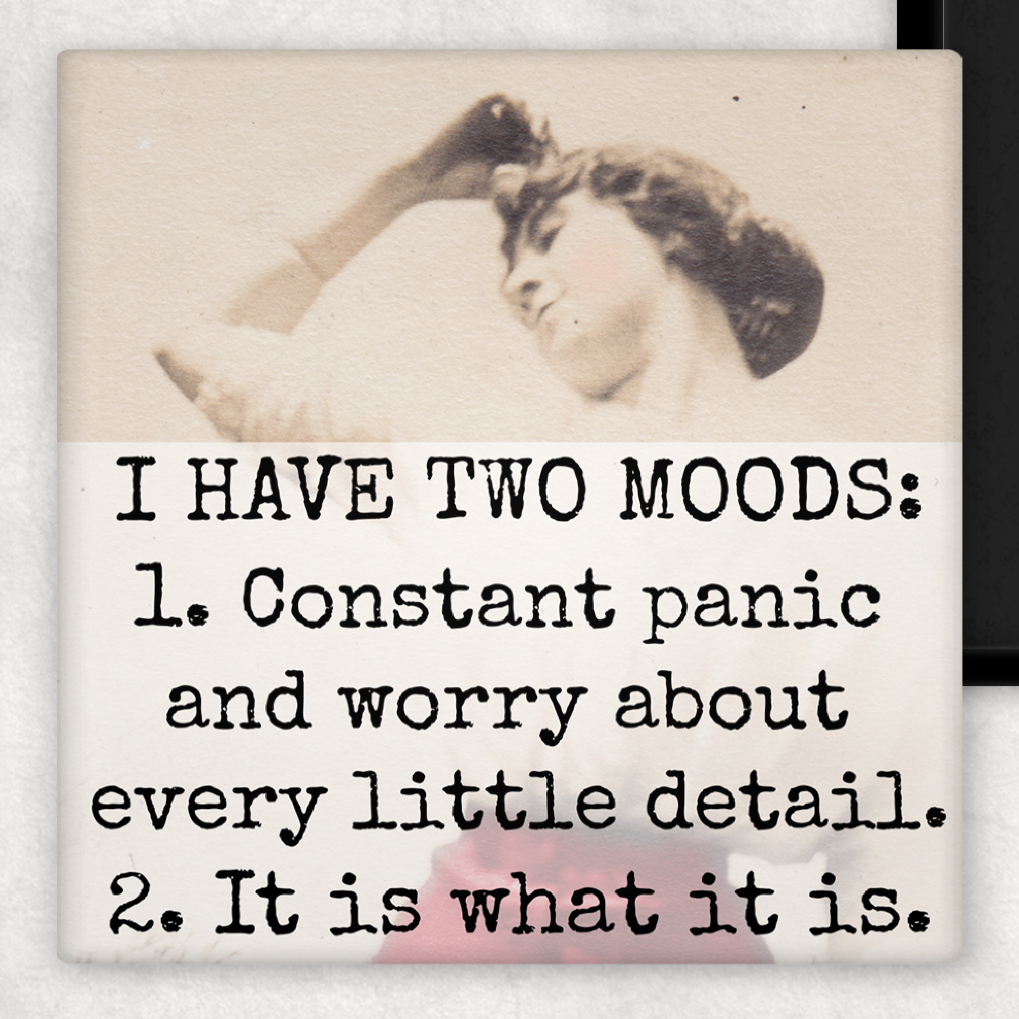 Funny Magnet. I Have Two Moods.